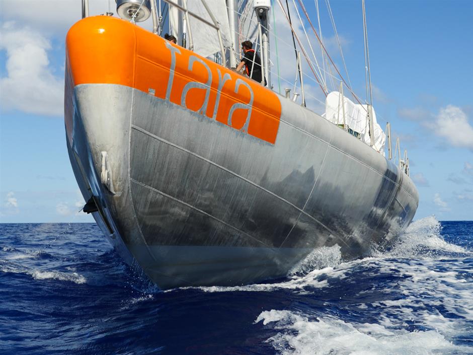 Tara's ecological 'Deep Blue' sea expedition