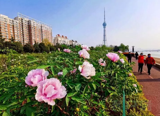 fileImg 1_??_??_??_??1.png