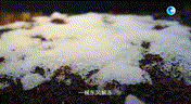 7 00_00_00-00_00_30~2.gif